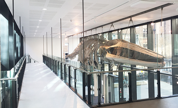 Advanced glazing helps bring prestigious Cambridge University building ...